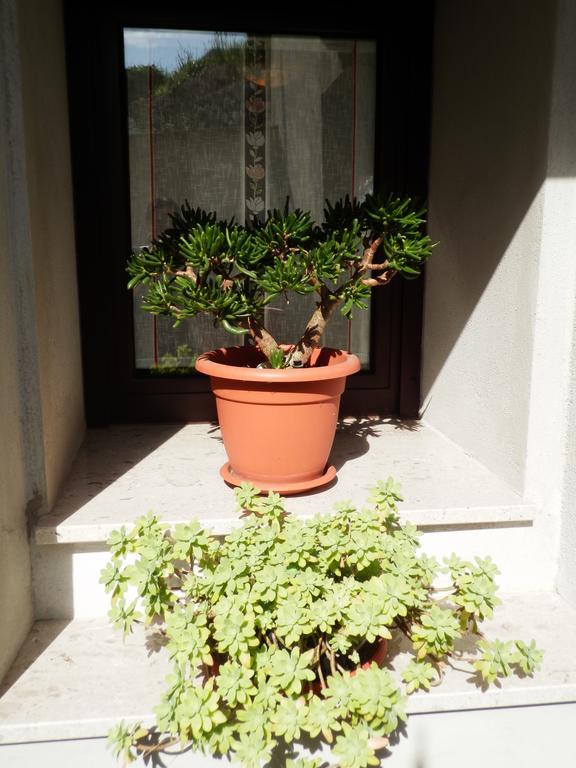 Apartment Andrija Vrbnik Esterno foto